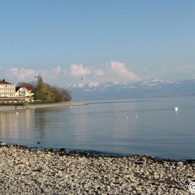 bodensee.gallery © reinhold@wentsch.com | bodensee.photography