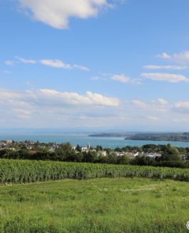 Bodensee Panoramas by bodensee.photography